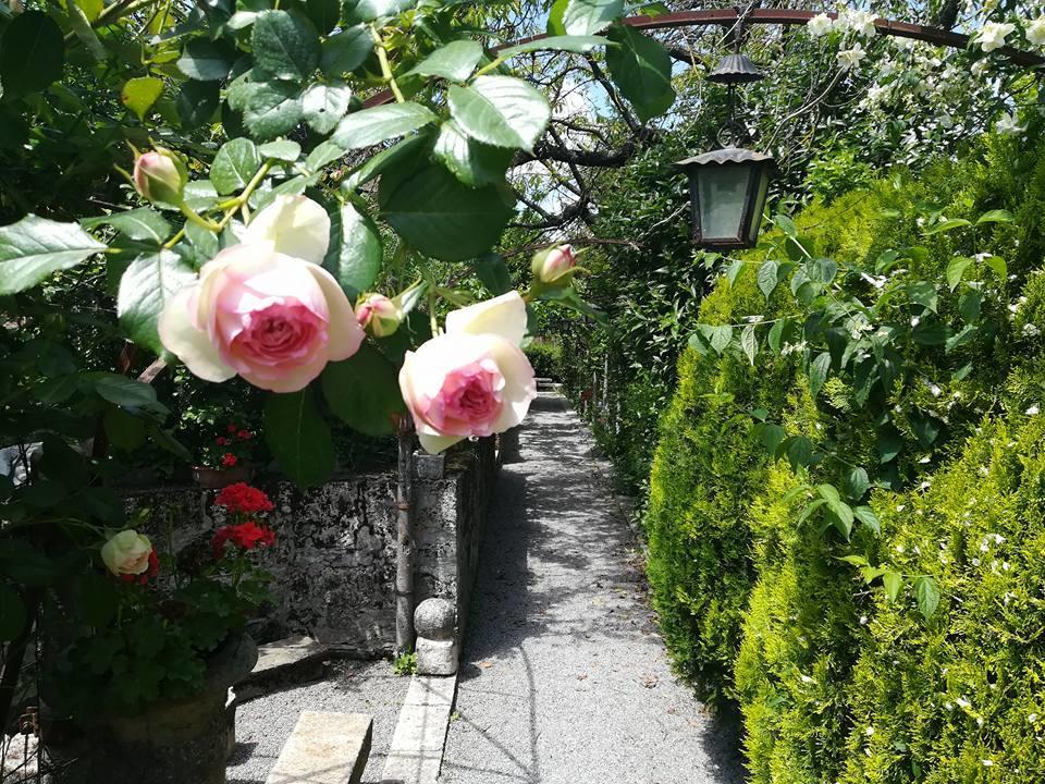 Residenza Dei Ricci Bed & Breakfast Chiusi Dış mekan fotoğraf